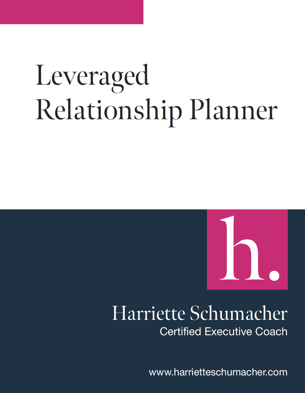 Leveraged Relationship Planner Thumbnail